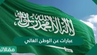 عبارات عن الوطن الغالي
