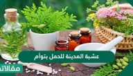 عشبة المدينة للحمل بتوأم