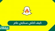 كيف اخلي سنابي عام وهل يمكن تحويله لخاص مرة أخرى بعد ذلك؟