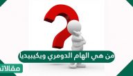 من هي ألهام الدومري ويكيبيديا