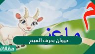 حيوان بحرف الميم