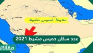عدد سكان خميس مشيط 2023