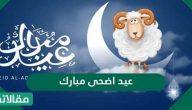 عبارات عيد أضحى مبارك 2026 / 1447