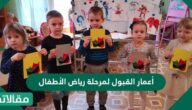 أعمار القبول لمرحلة رياض الأطفال 1447 نظام نور