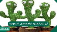 أين تباع الصبارة الراقصة في السعودية
