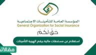 استعلام عن مستحقات مالية برقم الهوية التأمينات