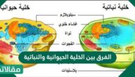 الفرق بين الخلية الحيوانية والنباتية