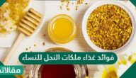 فوائد غذاء ملكات النحل للنساء