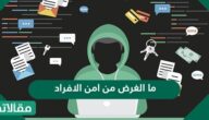 ما الغرض من امن الافراد ؟وما هي الجهود المبذولة للحفاظ على الأمن