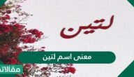 معنى اسم لتين