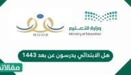 هل الابتدائي يدرسون عن بعد ١٤٤٤