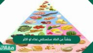 ينشأ عن اتحاد سلسلتي غذاء أو أكثر