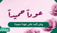 وش الرد على عوداً حميداً
