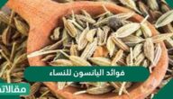 فوائد اليانسون للنساء