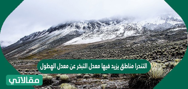 التندرا مناطق يزيد فيها معدل التبخر عن معدل الهطول