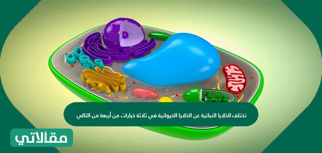تختلف الخلايا النباتية عن الخلايا الحيوانية في ثلاثة خيارات من أربعة من التالي