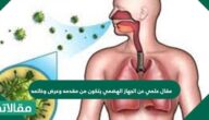 مقال علمي عن الجهاز الهضمي يتكون من مقدمه وعرض وخاتمة