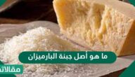 ما هو أصل جبنة البارميزان
