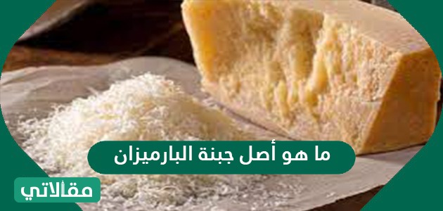 ما هو أصل جبنة البارميزان