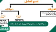 اسم الفاعل اسم مشتق من الفعل ويدل على الفعل وفاعله