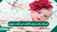 اسماء بنات بحرف الألف من ثلاث حروف