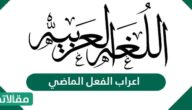 حالات اعراب الفعل الماضي مع الأمثلة