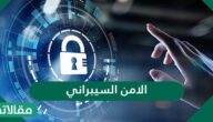 الامن السيبراني هو