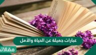عبارات جميلة عن الحياة والأمل