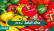 فوائد الفلفل الرومي الاخضر