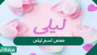 معنى اسم ليلى في اللغة العربية حكم التسمية