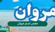 معنى اسم مروان في اللغة العربية وصفات حاملة الاسم