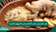 هل الزنجبيل مضر للحامل في الشهور الأخيرة
