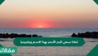 لماذا سمي البحر الاحمر بهذا الاسم ويكيبيديا