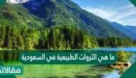ما هي الثروات الطبيعية في السعودية