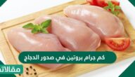 كم جرام بروتين في صدور الدجاج