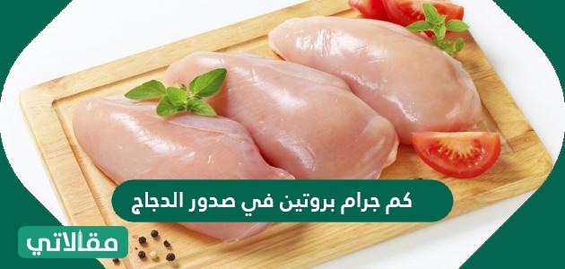 كم جرام بروتين في صدور الدجاج