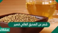 شعر عن الصديق الغالي قصير 2026