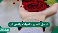اجمل الصور خلفيات واتس اب