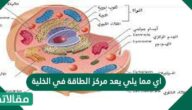اي مما يلي يعد مركز الطاقة في الخلية