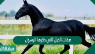 صفات الخيل التي ذكرها الرسول
