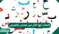 كلمات لها اكثر من معنى بالعربي
