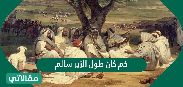 كم كان طول الزير سالم