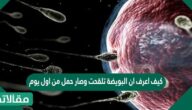 كيف اعرف ان البويضة تلقحت وصار حمل من اول يوم؟