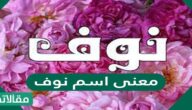معنى اسم نوف وحكم تسميته في الاسلام