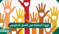 جهود المملكة في العمل التطوعي