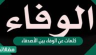 كلمات عن الوفاء بين الأصدقاء