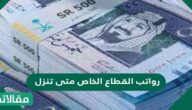 رواتب القطاع الخاص متى تنزل