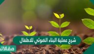 شرح عملية البناء الضوئي للاطفال