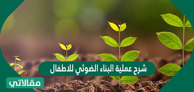 اي من الاوساط التاليه ينتقل فيها الضوء اسرع