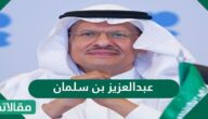 عبد العزيز بن سلمان السيرة الذاتية